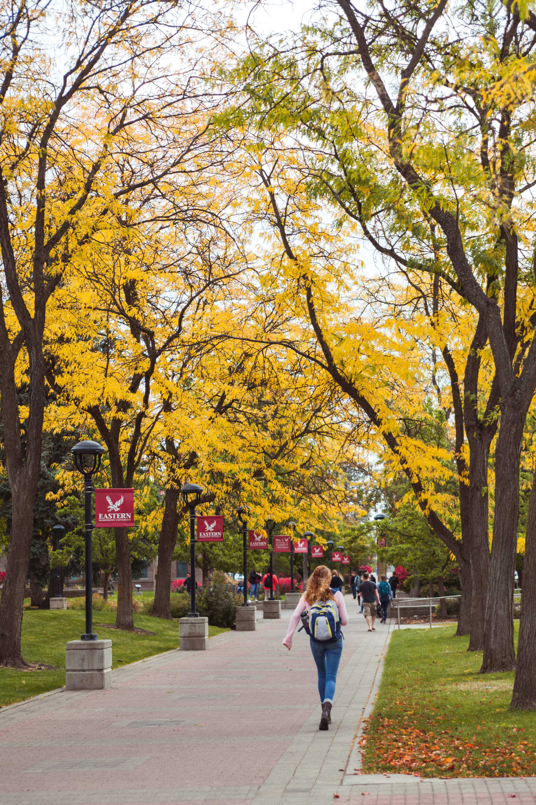 Students walk beneath autumn trees across campus