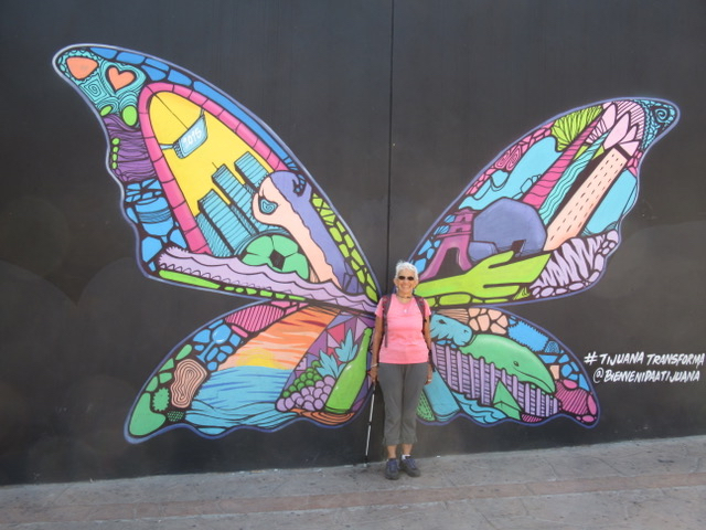A person stands in front of a butterfly mural with the #TijuanaTranforma painted by @biennenipaatijuana