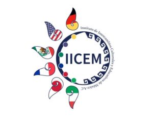 IICEM logo