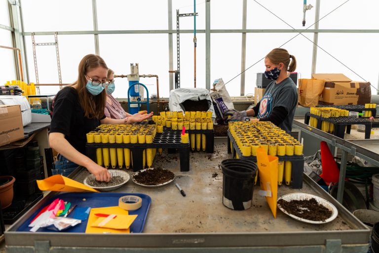 ewu students preparing seeds