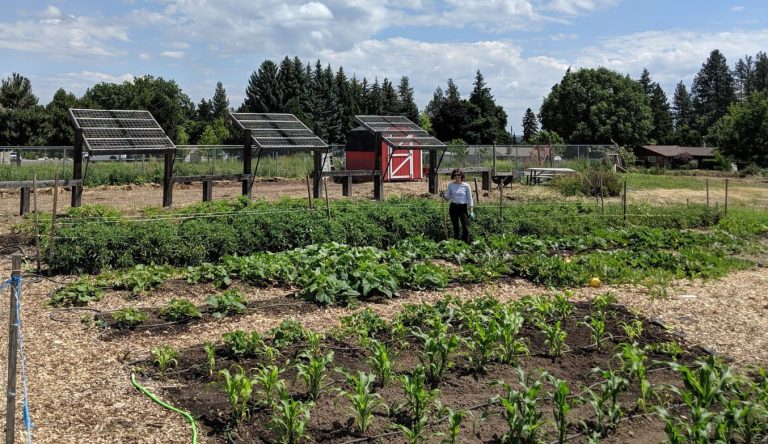 ewu's community garden