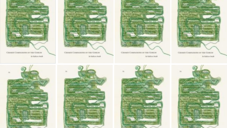 Chosen companions feature