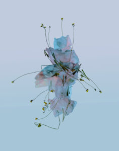 What Remains Transparent – Sarah Knobel | Oct 3rd – Nov 8th