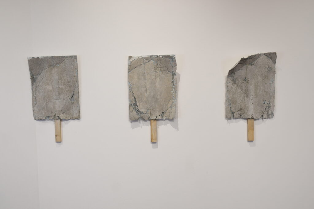 Split – Stacy N. Isenbarger | Nov 17th – Jan 19th, 2023