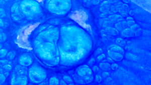 EWU Art Program Faculty Exhibition | Nov 16th – Jan 19th, 2024