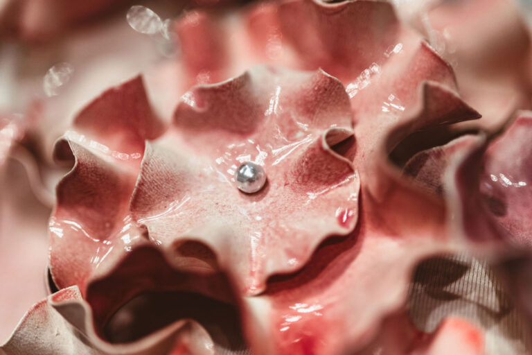 Close-up of a glossy pink organic form with folds and a small reflective droplet.