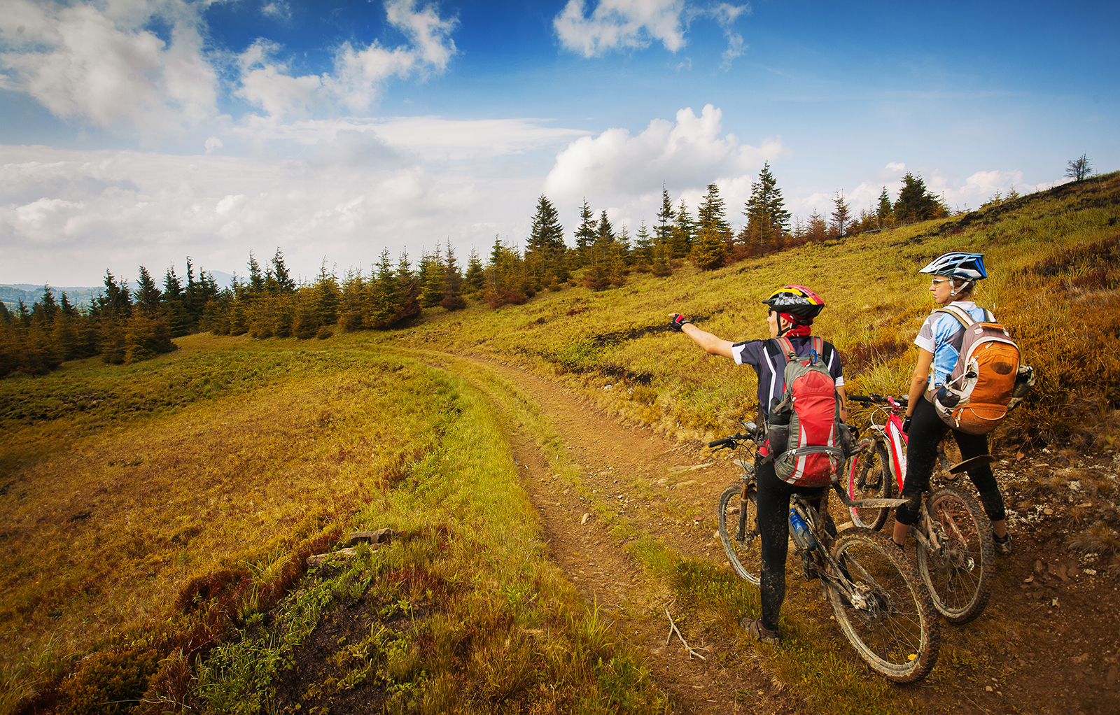 Two bikers on a trail looking down the path.