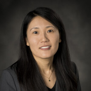 Photo of Lei Dong, PhD, CPA