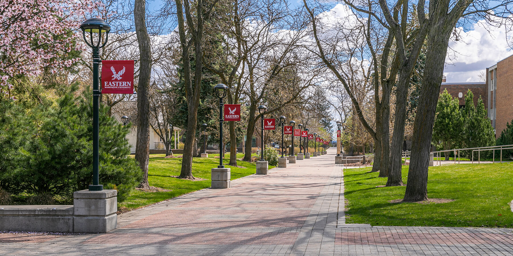 Walkway on campus lined with EWU banners