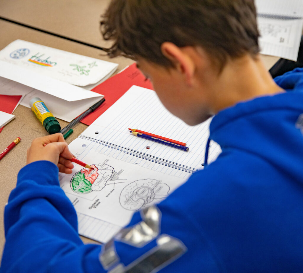 An elementary school student works on an assignment