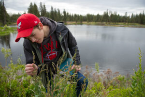 Student studying a plant