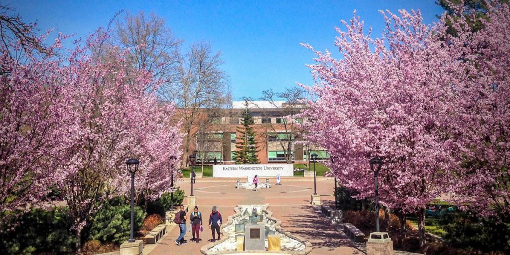 Spring day on the campus mall with cherry blossoms