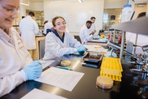 students in a lab collaborating