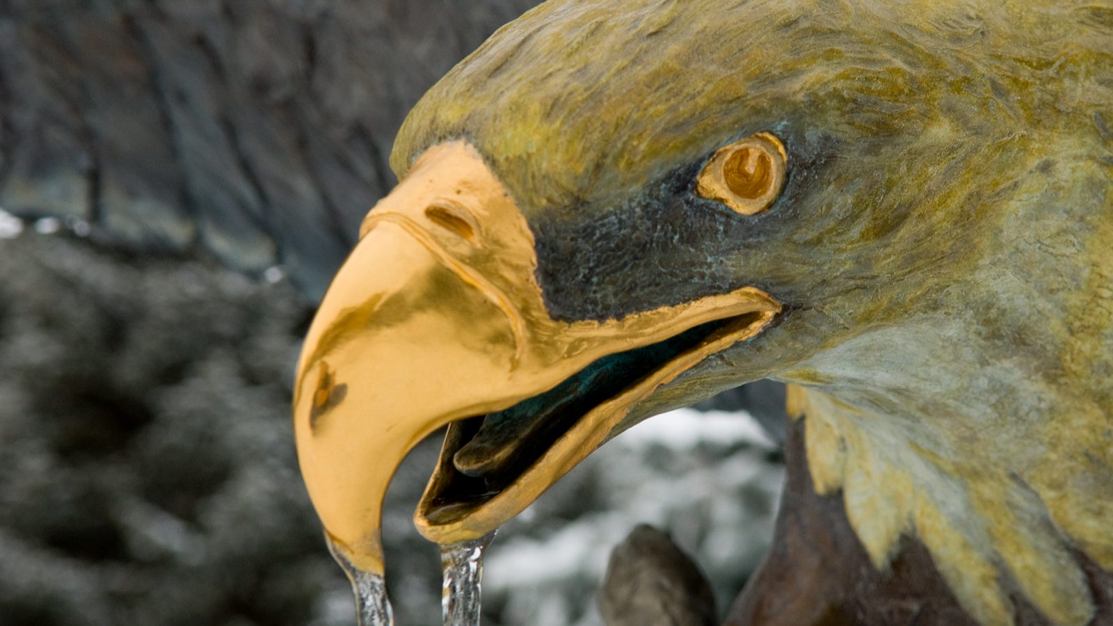 Photo: Close up of icy eagle sculpture