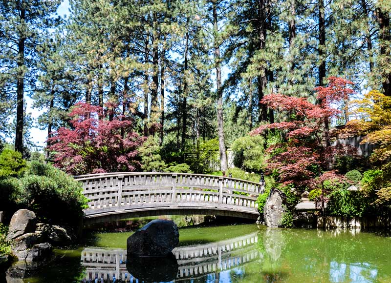 Photo: Spokane Japanese Garden