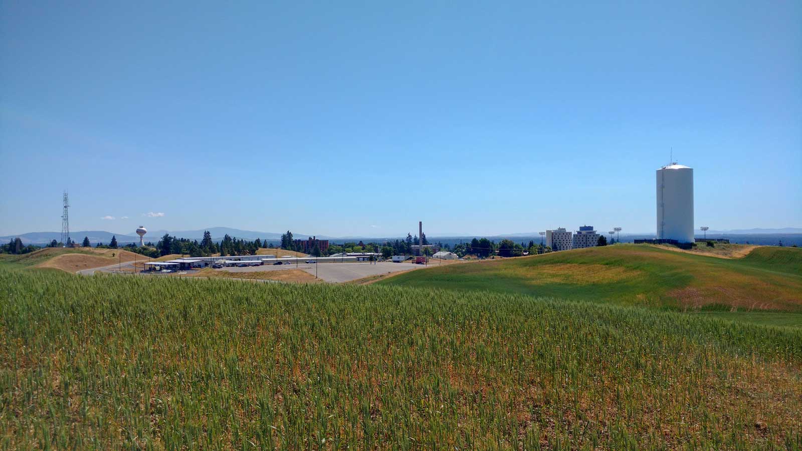 Photo: This photo shows the current EWU restoration site to be transformed to native prairie.