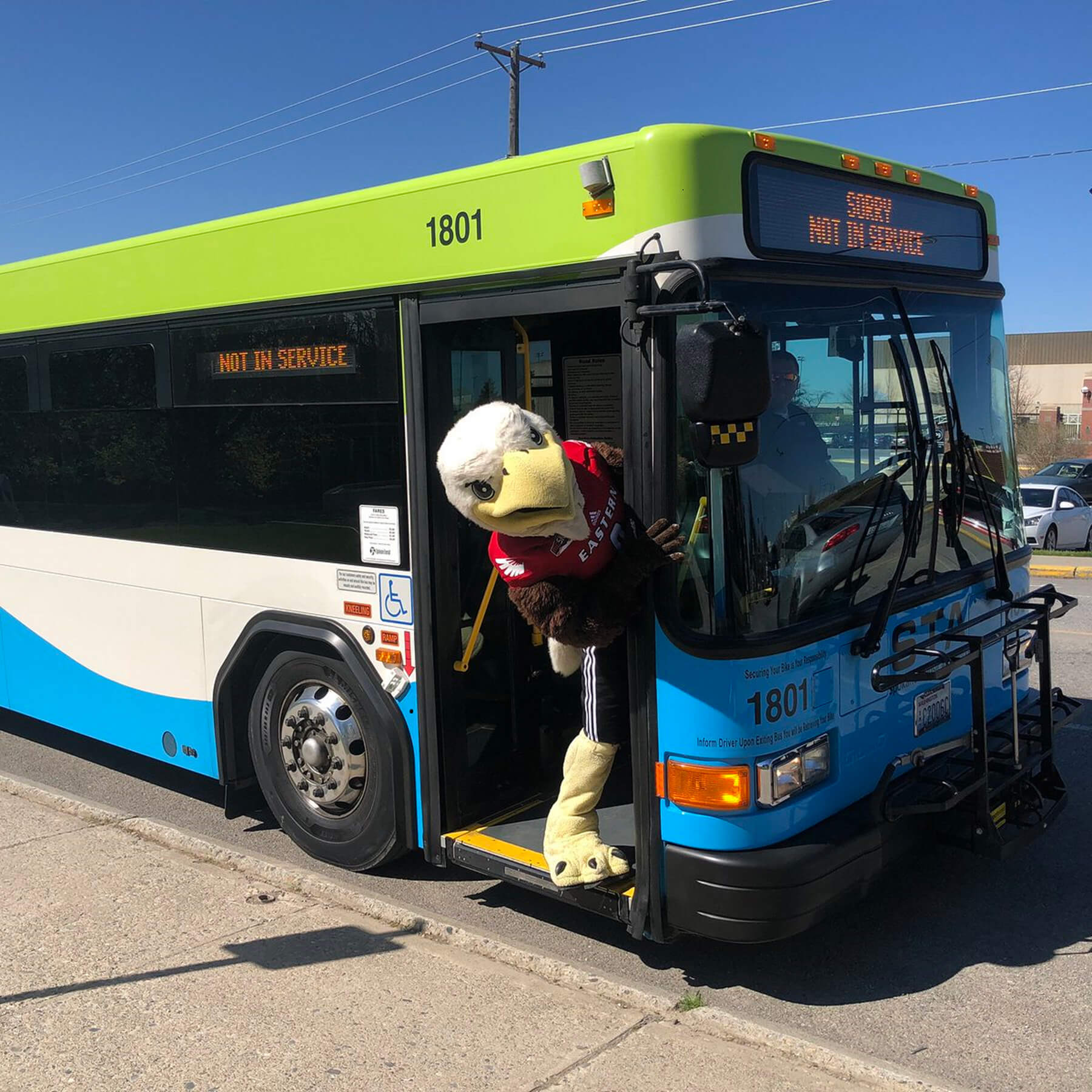Swoop gets on an STA bus