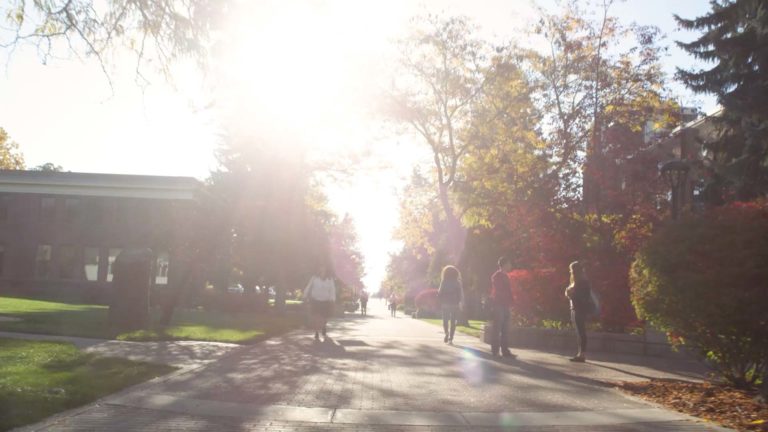 Students walking through campus on a sunny morning