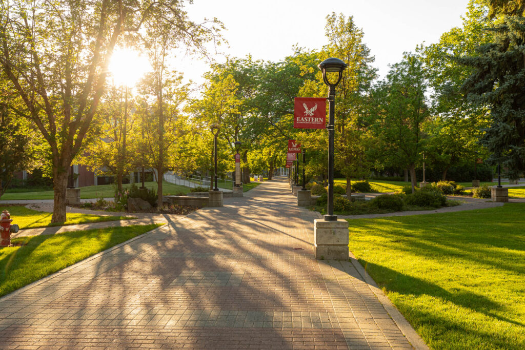 Campus pathway with sunlight shining through trees.