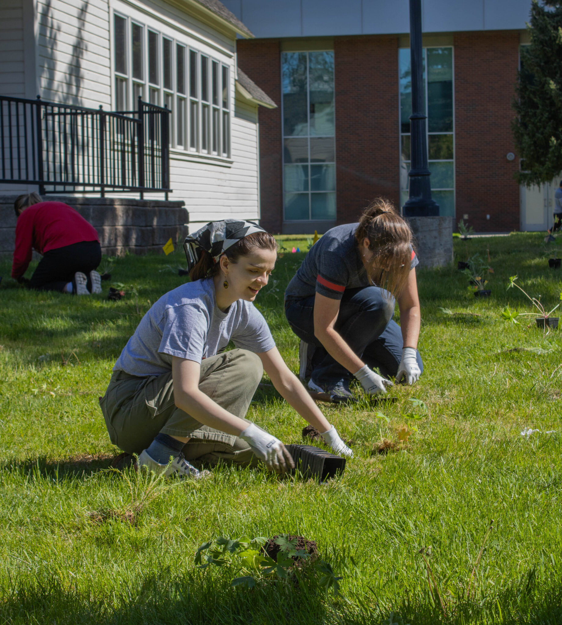 Photo of two people planting in the grass.