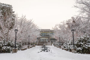 Sledding on Dining Service Trays