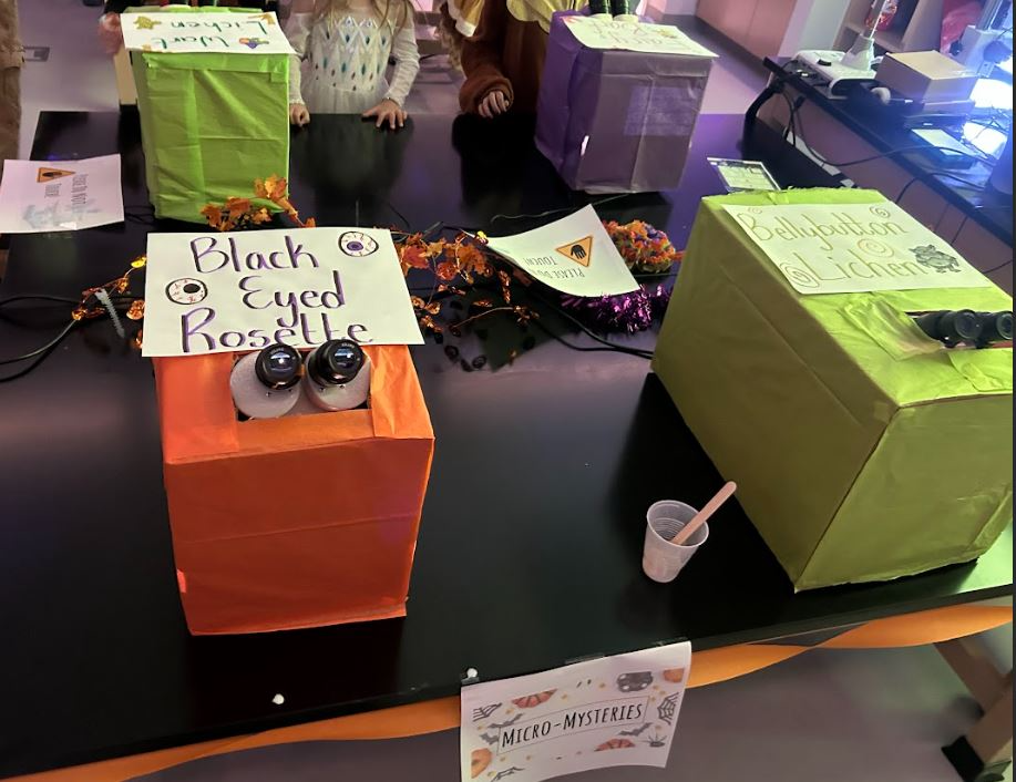 Colorful boxes with boo-tanicals.