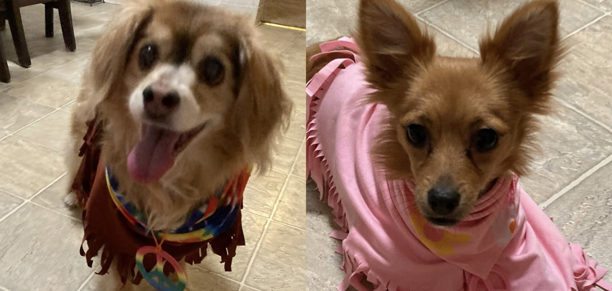 Cute duo with scarves.