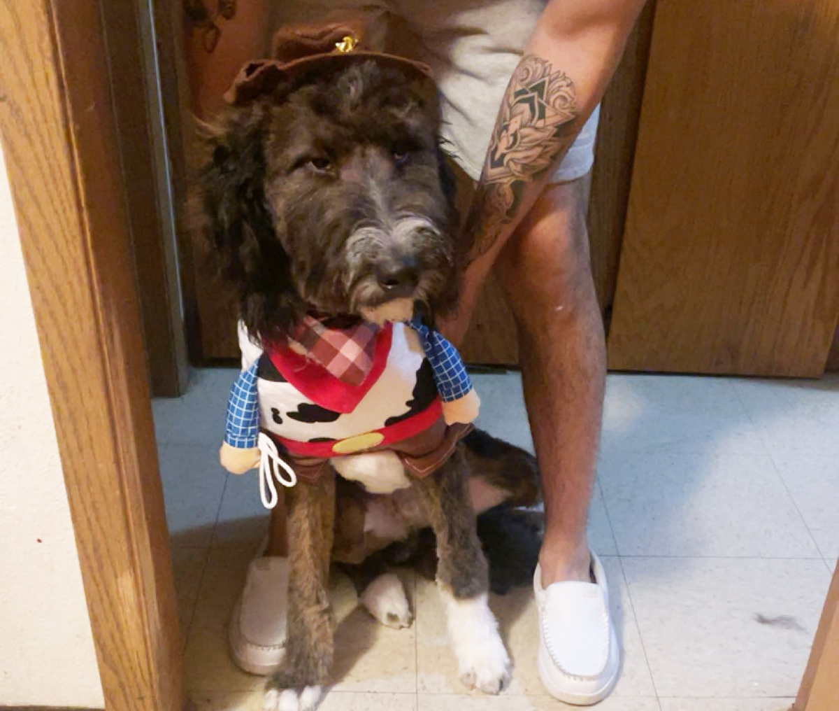 Dog in Toy Story costume.