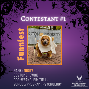 Funniest, dog in Ewok costume.