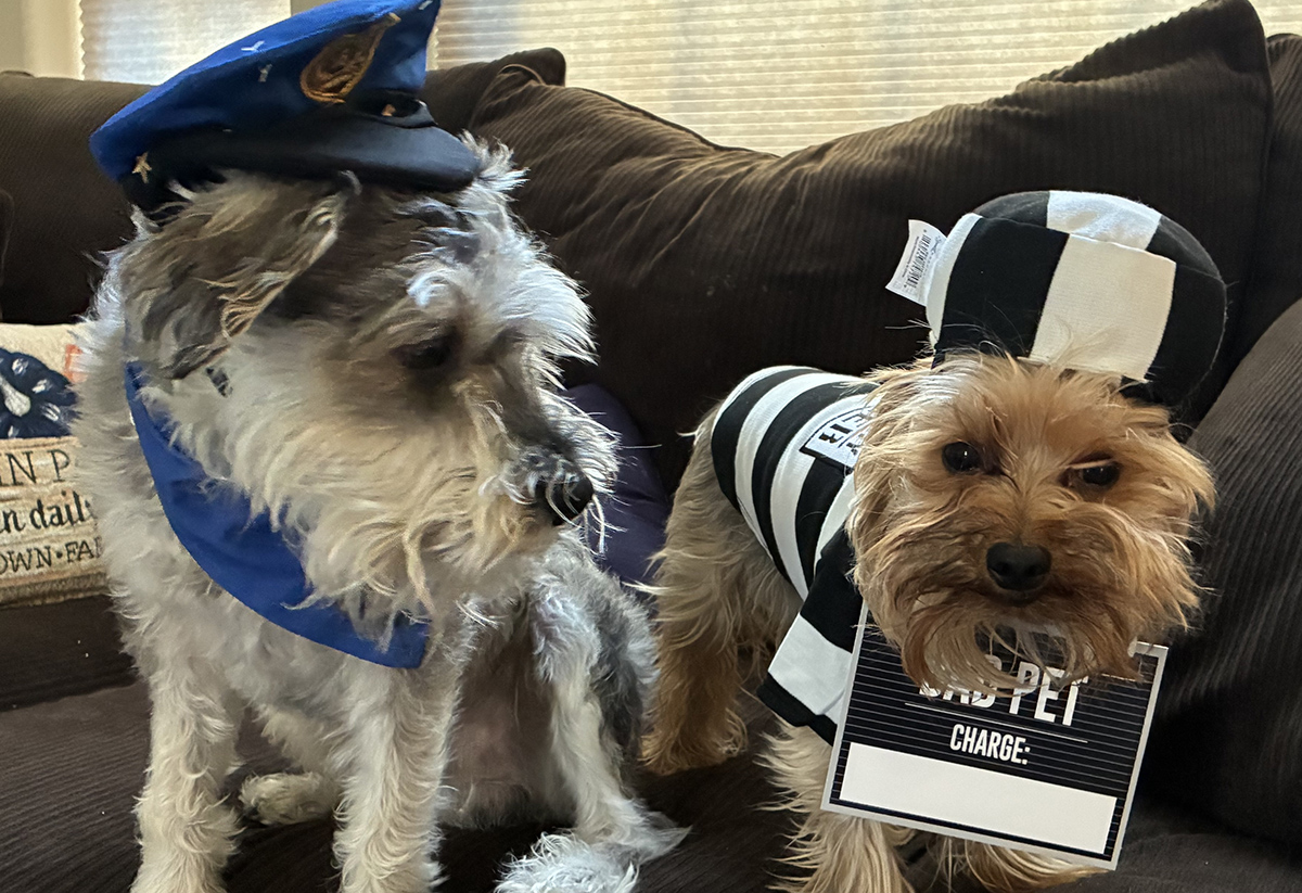 Dog duo, jailer and inmate.