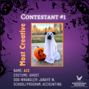 Most creative is dog dressed as ghost with a pumpkin.