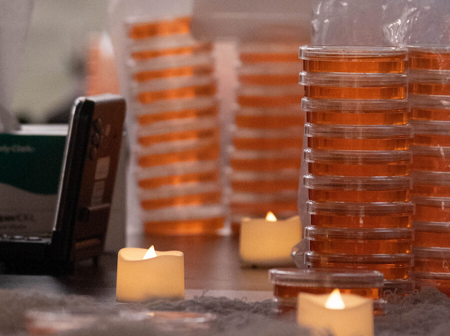 Ingredients for science project.