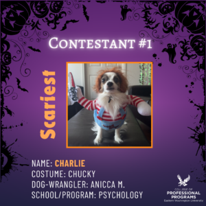 Scariest, crazy dog with murder costume.