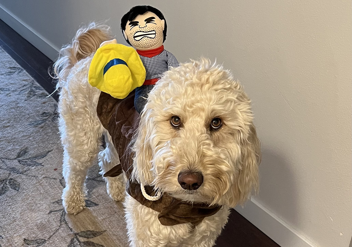 Dog with toy cowboy riding it.