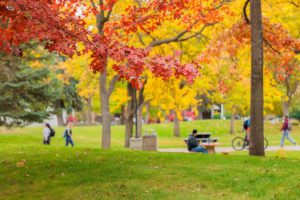 Fall photo of students walking on campus.