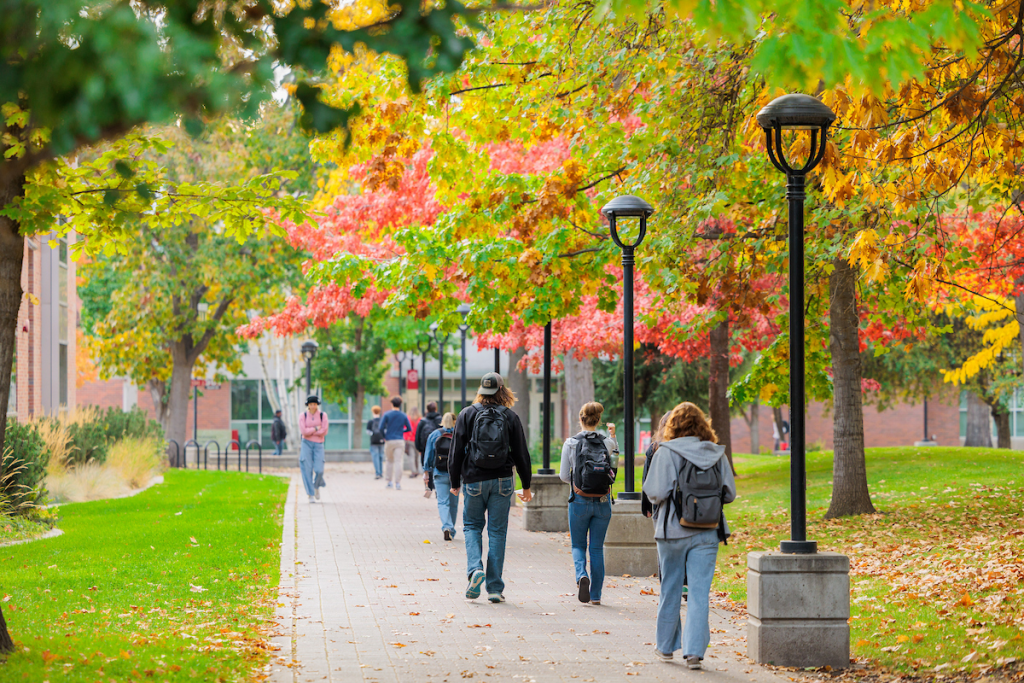 Students walking on campus with fall leaves all around.